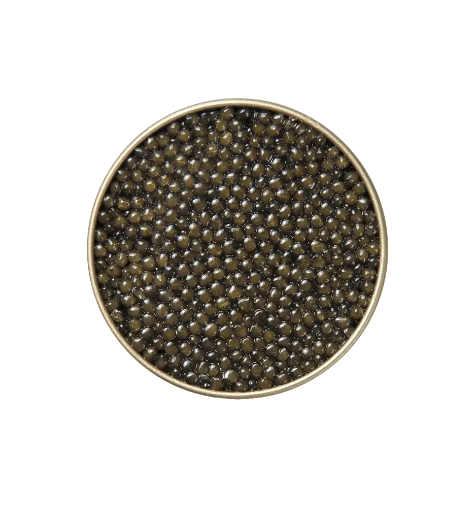 Rcc銅牌 Ossetra Caviar 黃寶石ossetra魚子醬