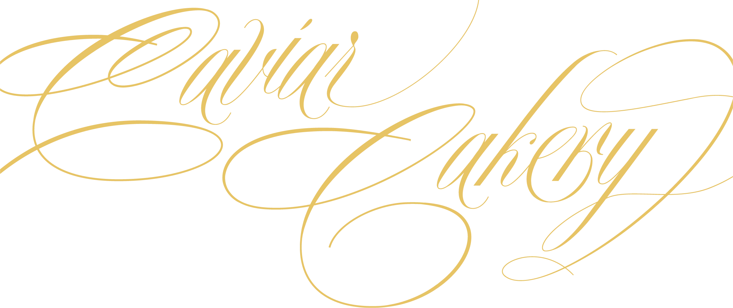 About Logo